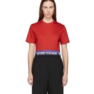 Opening Ceremony Crop Top